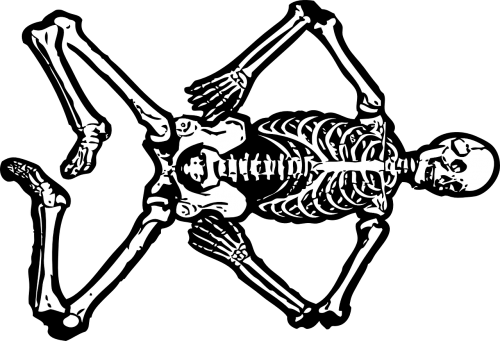 skeleton dead skull