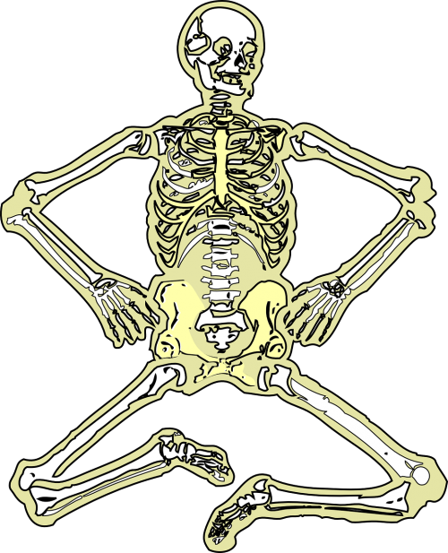 skeleton dead bones
