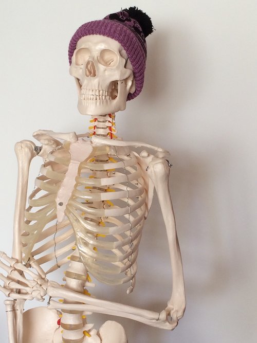 skeleton  purple bobble hat  bones