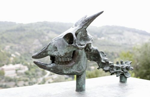 skeleton skull and crossbones skull