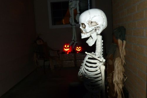 skeleton halloween spooky