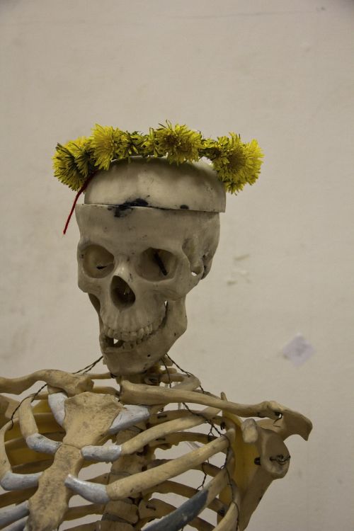 skeleton man skull