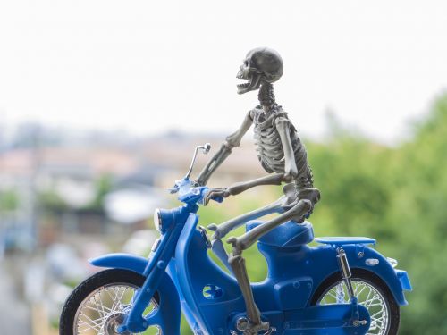 skeleton bike honda