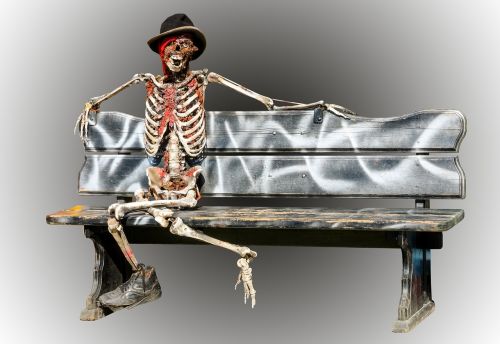 skeleton helloween halloween