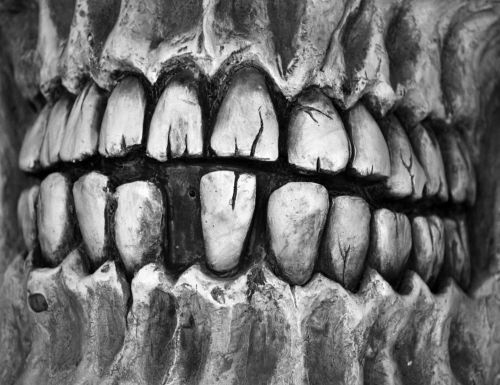 Skeleton Skull Teeth