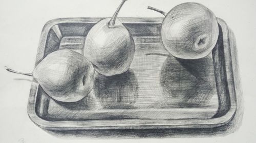 sketch apple dish