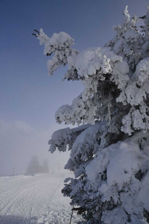 ski alps snow