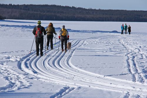 ski skiing frozen lake