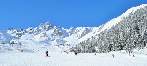 ski  winter sports  winter