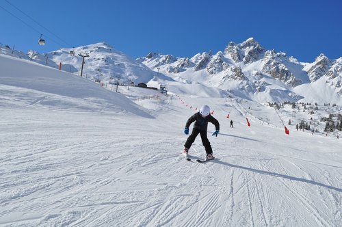 ski  winter sports  winter
