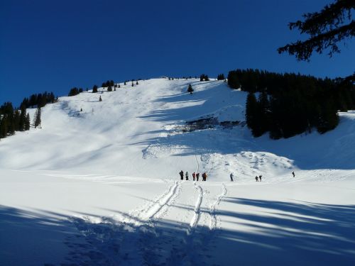 backcountry skiiing winter hike hike