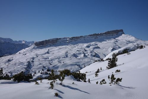 backcountry skiiing ifen ski