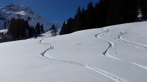 ski track backcountry skiiing ski