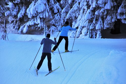 skiers  skis  snow