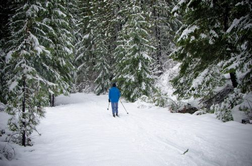 skiing cross country snow