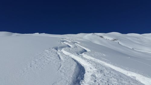 skiing traces snow