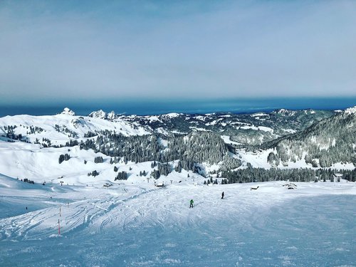 skiing  ski  nature