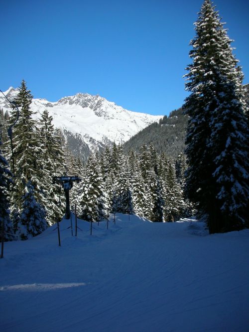 skiing backcountry skiiing winter sports