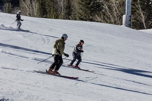 skiing  skiers  downhill