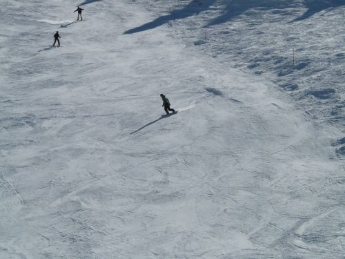 skiing skiers skier