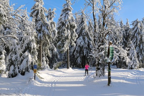 skiing  wintry  winter