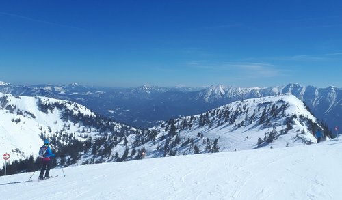 skiing  snow  winter