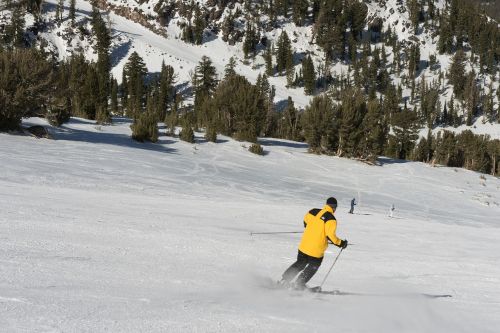 skiing skiers downhill