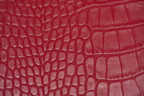skin texture red