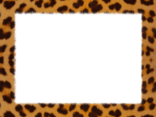 skin leopard texture geometric