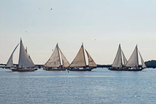 skipjack sailing boat