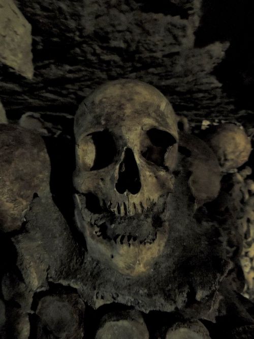 skull catacombs paris