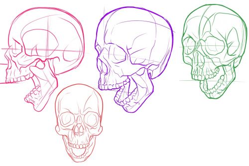 skull study evil