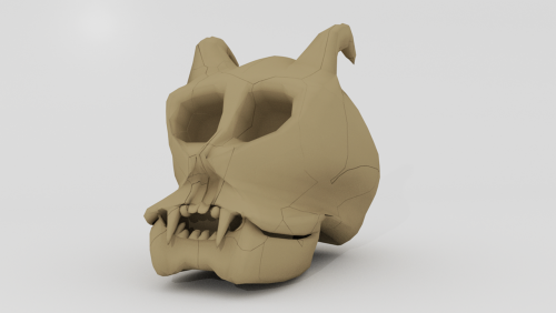 skull skeleton skull bone