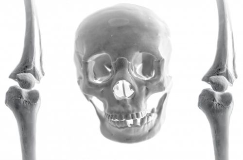 Skull