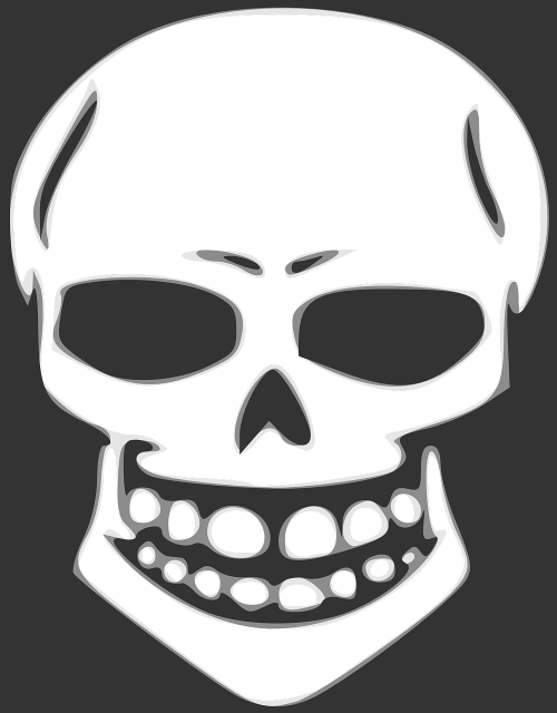 skull skeleton human