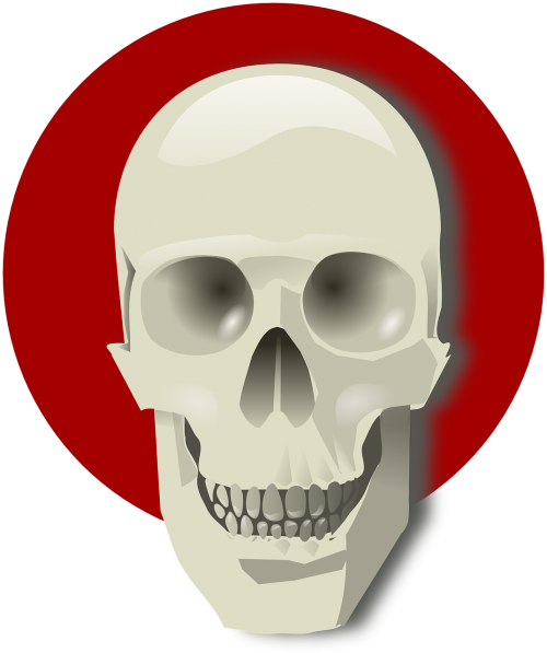 skull death bones