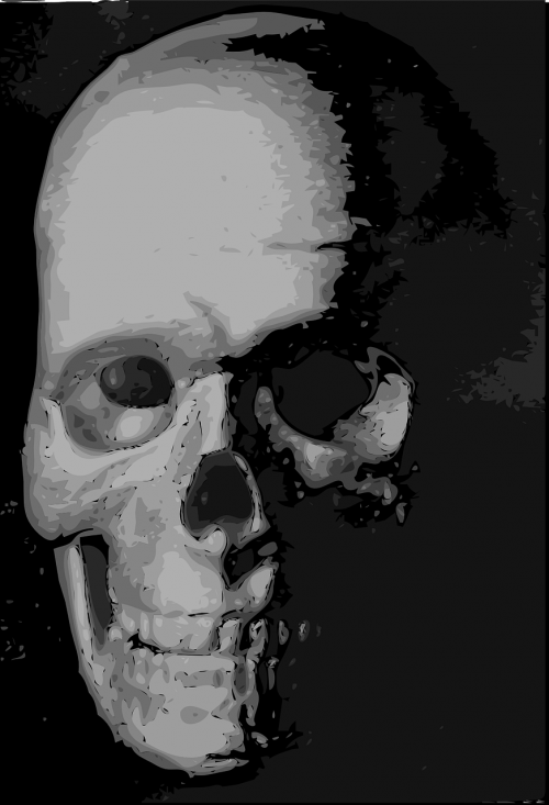 skull death dead
