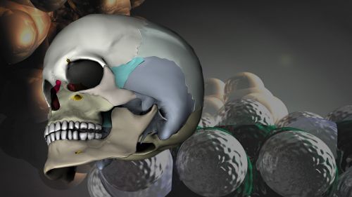 skull head 3d model