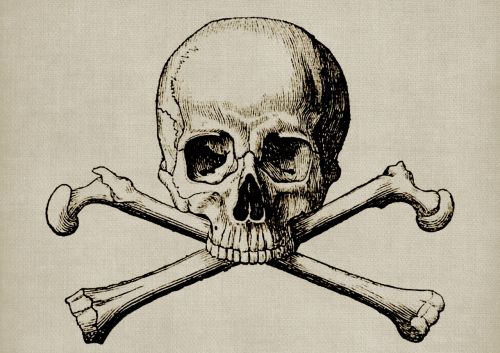 skull cross bone steampunk