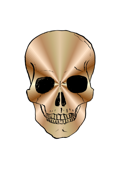 skull bronze covers
