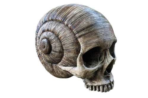 skull horn death