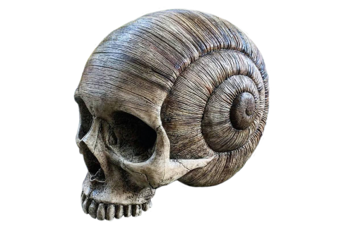 skull horn death