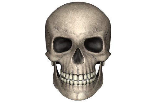 skull day of the dead bone