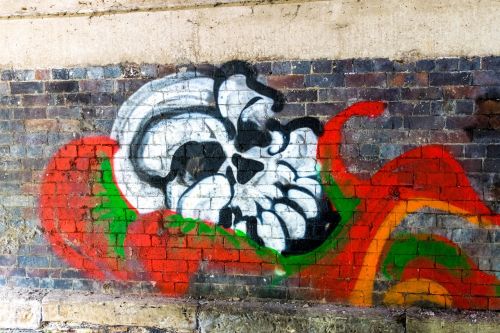 skull grafitti artistic