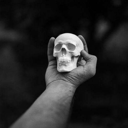 skull hand dead