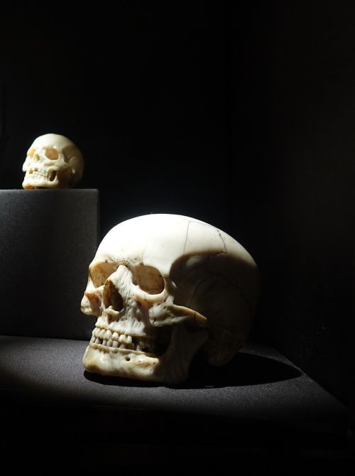 skull skull and crossbones dark