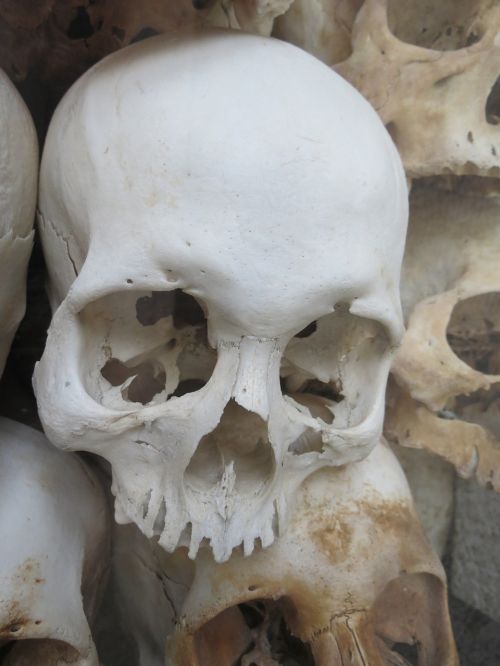 skull white vietnam