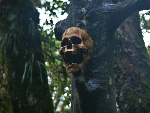 skull haunted terror