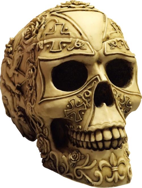 skull isolated skull and crossbones
