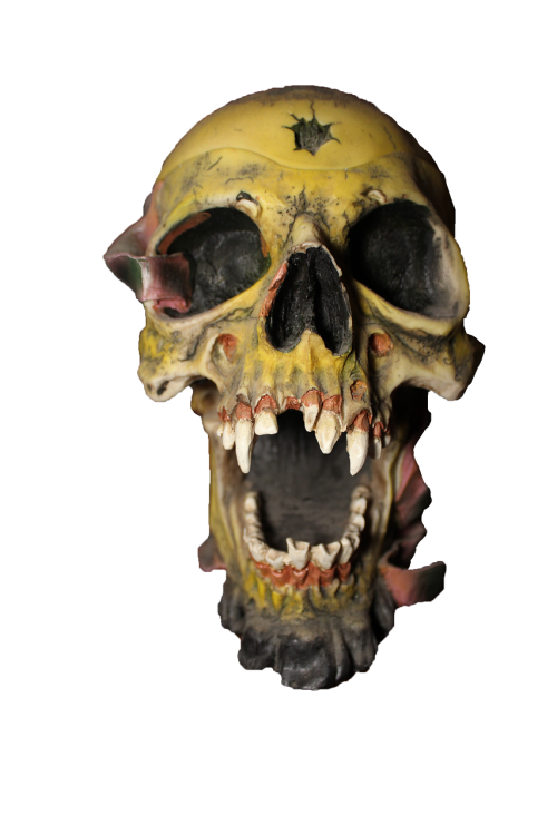 skull pirate head